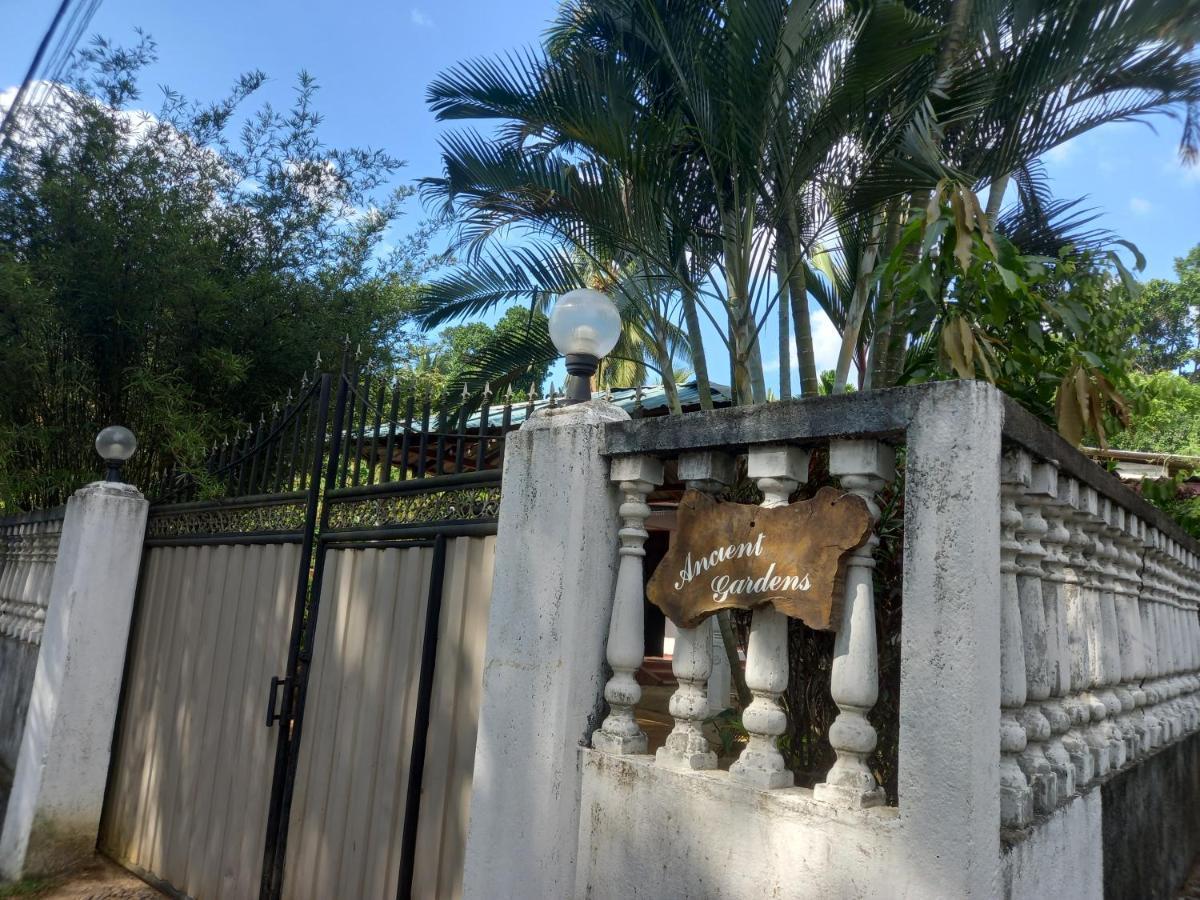Ancient Gardens Villa ピンナワラ エクステリア 写真
