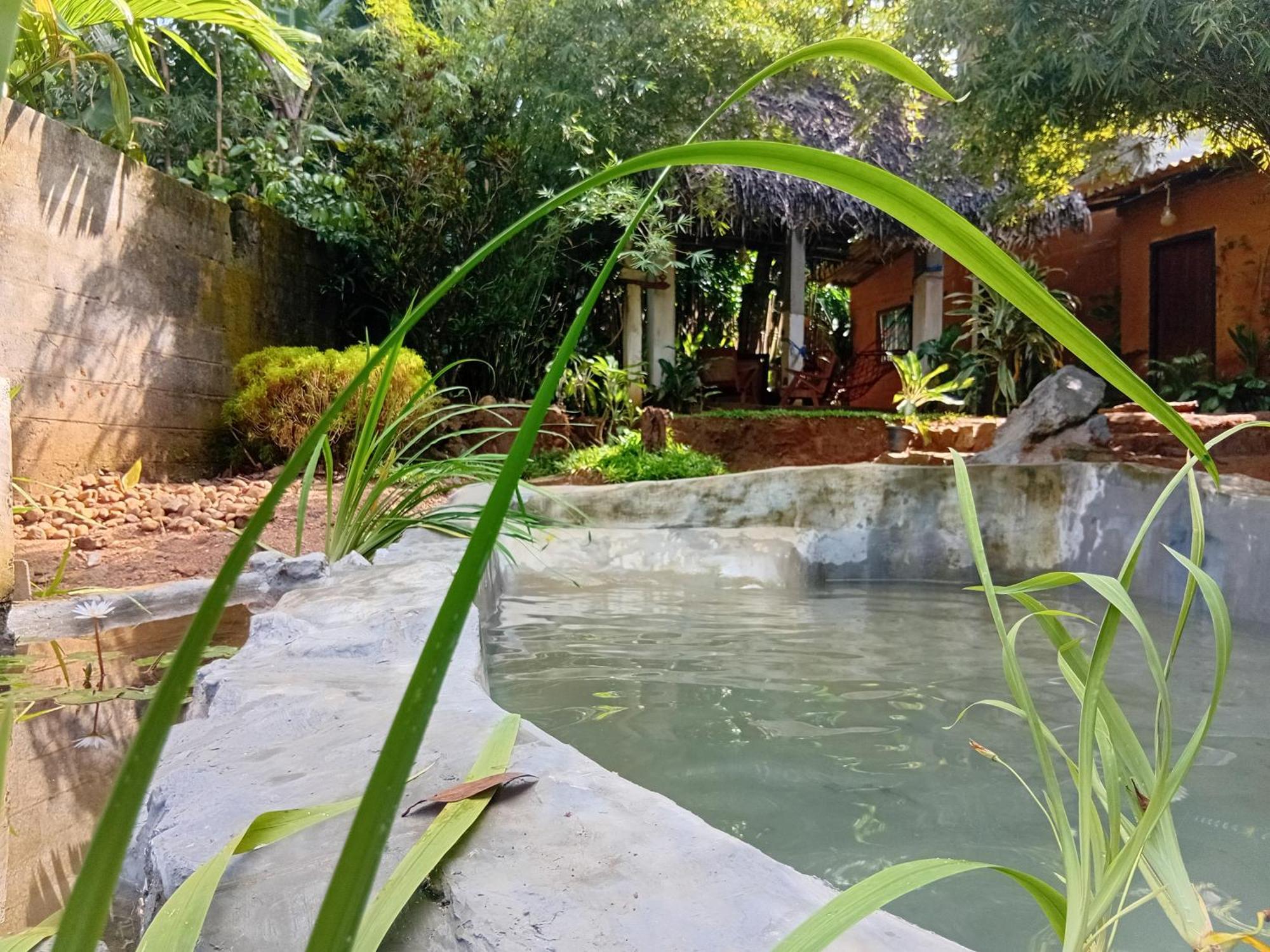 Ancient Gardens Villa ピンナワラ エクステリア 写真