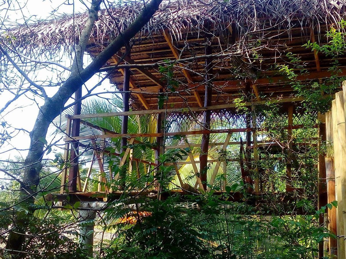 Ancient Gardens Villa ピンナワラ エクステリア 写真