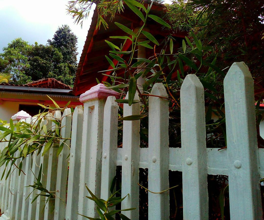 Ancient Gardens Villa ピンナワラ エクステリア 写真